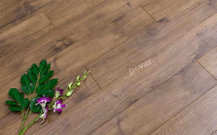 Sàn gỗ công nghiệp Povar HQ5506cùng phụ kiện