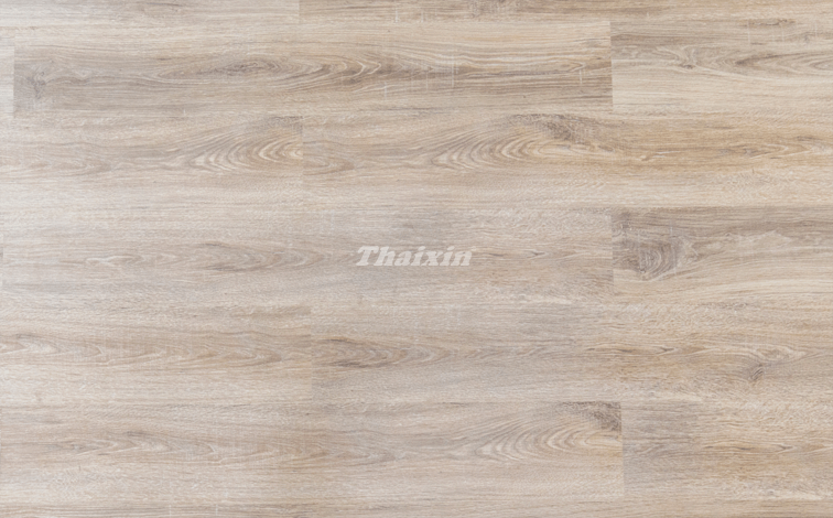 Hình trực diện sàn gỗ công nghiệp Thaixin - 8mm - VF10628