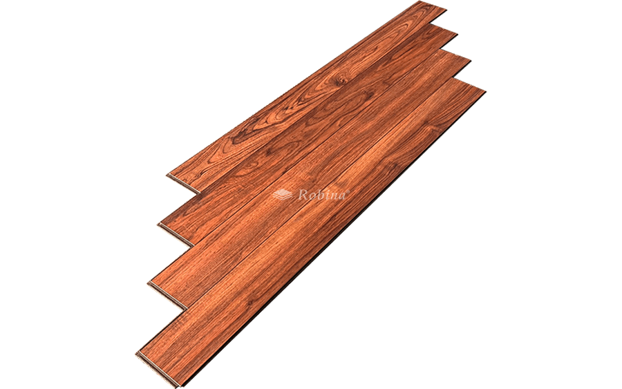 Sàn gỗ Robina 12mm T11