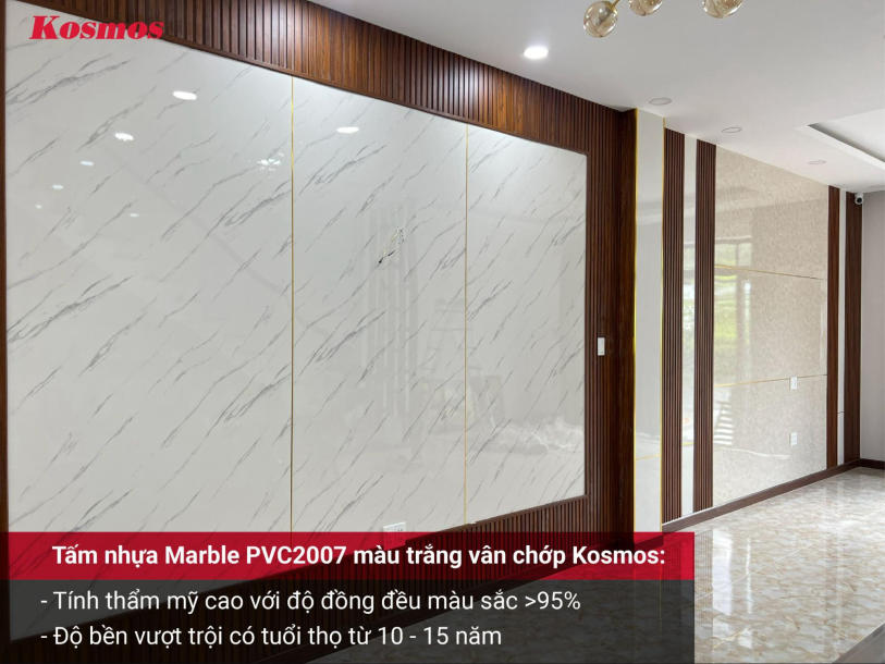 Đặc điểm nổi bật của tấm ốp