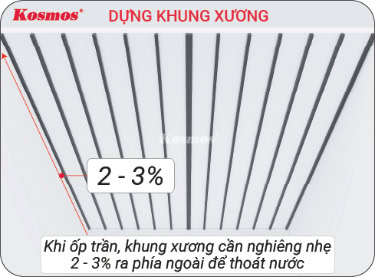op-tran-khung-xuong-co-do-nghieng-nhe-ra-ngoai-tu-2-3-07082026