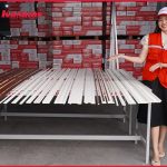 Mẫu phào cổ trần