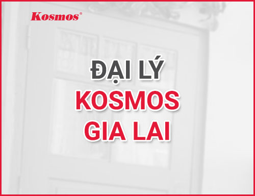 Thế giới sàn - Đại lý Kosmos Gia Lai