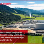 thumbnial-san-go-duc