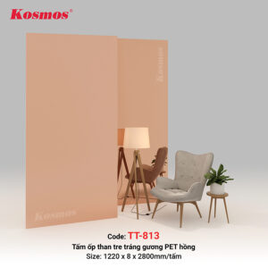 tam-op-than-tre-pet-trang-guong-tt-813-25062025