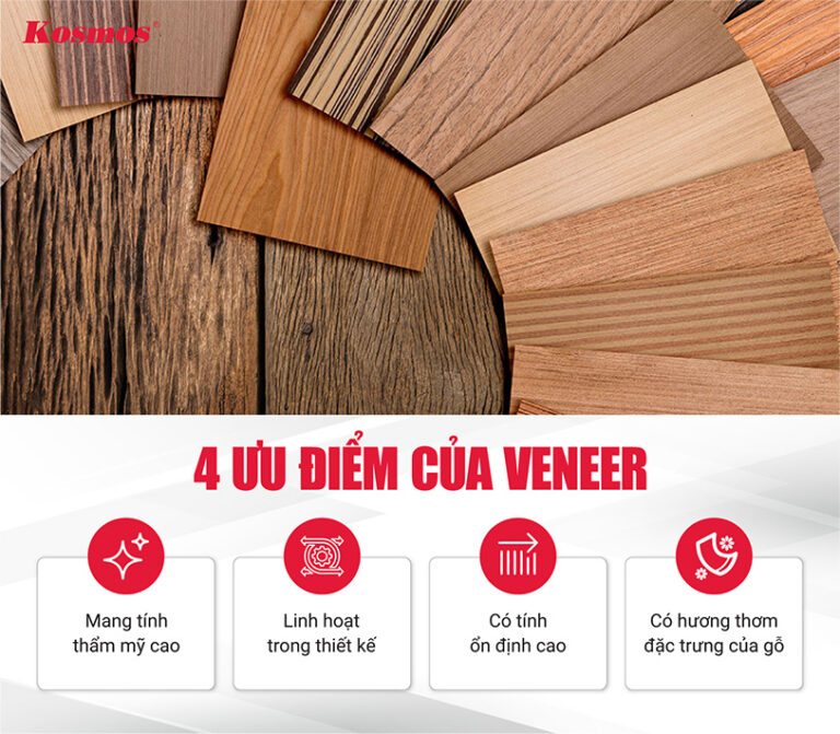 Veneer là gì? Tìm hiểu đặc tính và ứng dụng gỗ Veneer 2026