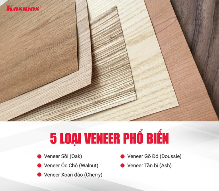 Veneer là gì? Tìm hiểu đặc tính và ứng dụng gỗ Veneer 2026