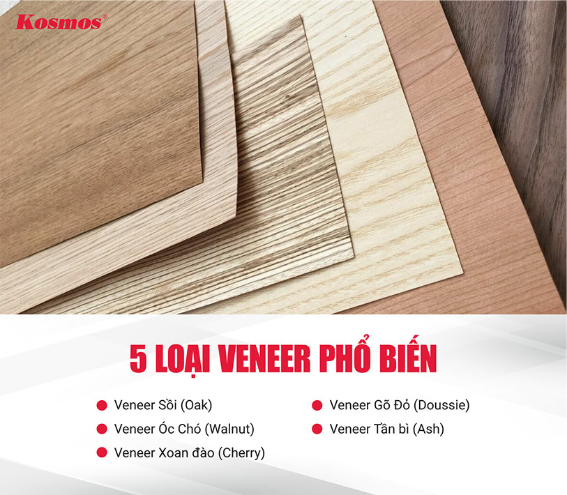 5 loại Veneer phổ biến 5 loại Veneer phổ biến