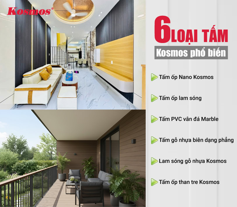 6 loại tấm Kosmos phổ biến 6 loại tấm Kosmos phổ biến