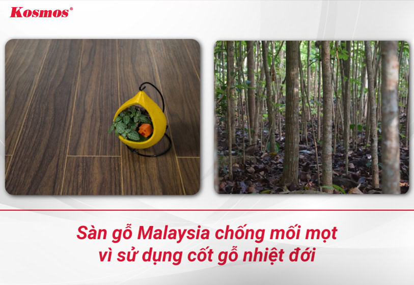 Malaysian wooden floors are termite-proof because they use tropical wood cores