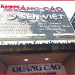 thumbnail-dai-ly-sen-viet