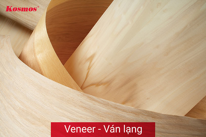 Veneer là tấm ván gỗ có độ dày siêu mỏng Veneer là tấm ván gỗ có độ dày siêu mỏng