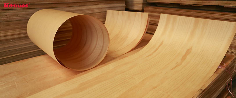 Veneer là tấm ván gỗ tự nhiên siêu mỏng được lạng từ thân cây Veneer là tấm ván gỗ tự nhiên siêu mỏng được lạng từ thân cây