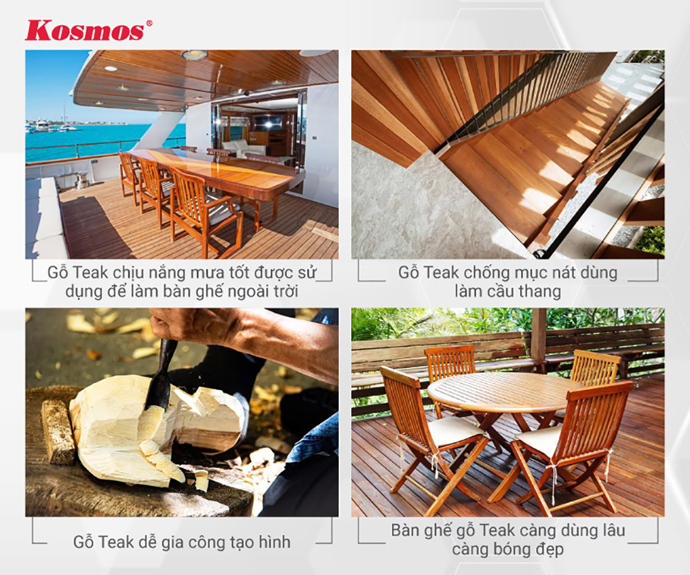 Các đặc điểm nổi bật của gỗ Teak Các đặc điểm nổi bật của gỗ Teak