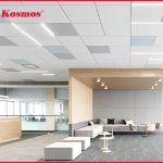 thumbnail-tran-tha-nhom