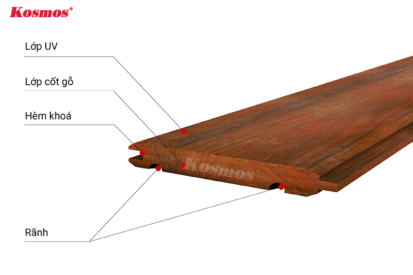 Các lớp cấu tạo của sàn gỗ tự nhiên