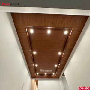 1.5 G1-906-hinh-cong-trinh