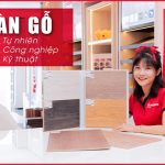 thumbnail các loại sàn gỗ