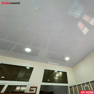 hinh-thuc-te-tam-op-nano-galawood-g9-903m