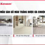 thumbnail-san-go-mau-trang