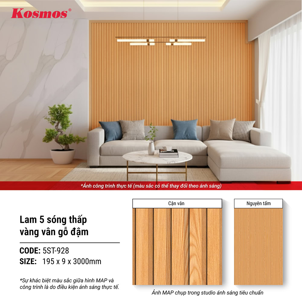 lam-song-nhua-kosmos-5st-928-11062026