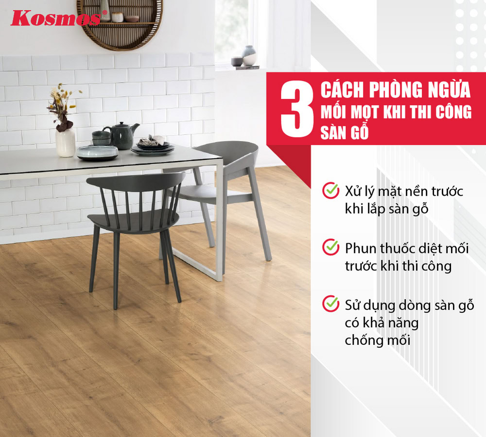 3 cách phòng ngừa mối mọt khi thi công sàn gỗ