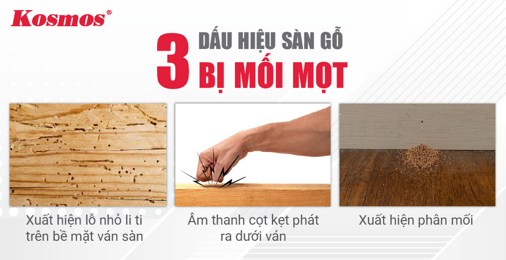 3 dấu hiệu sàn gỗ bị mối mọt