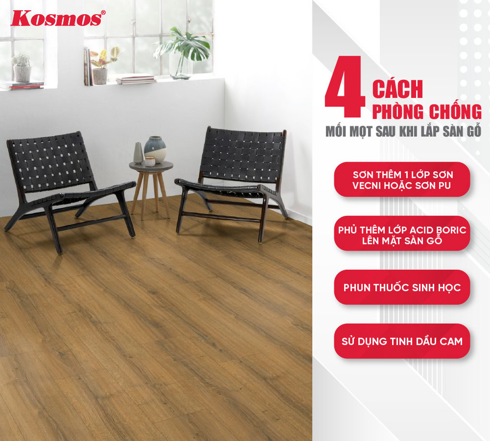 4 cách phòng chống mối mọt sau khi lắp sàn gỗ