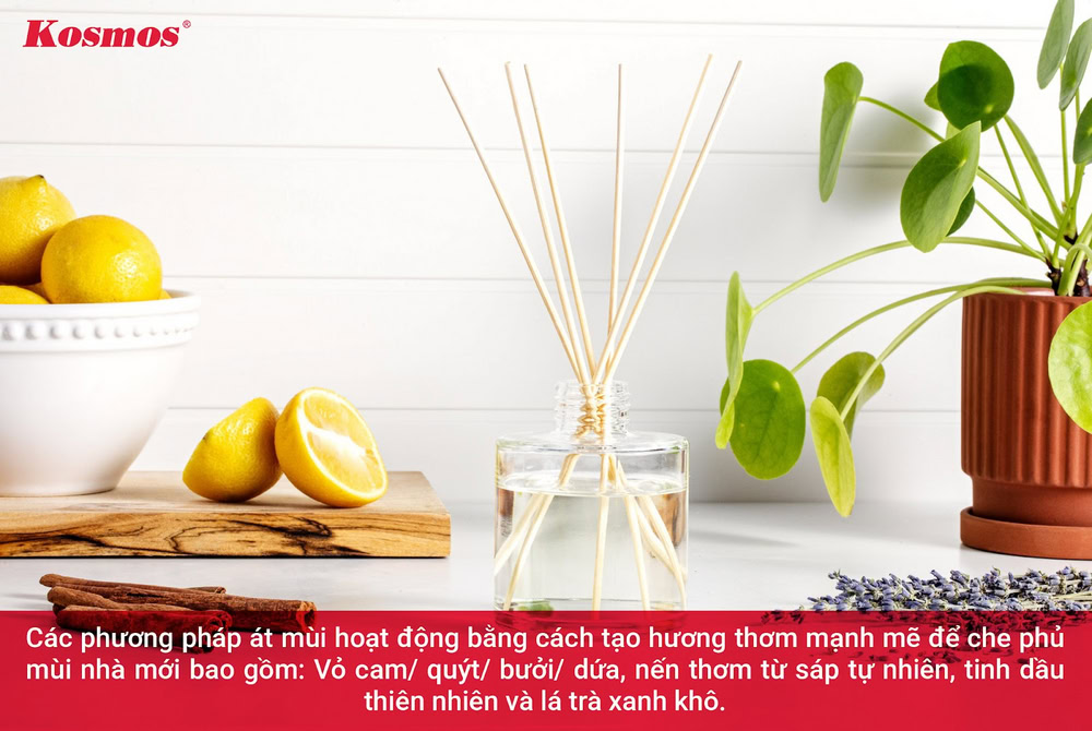 Át mùi nhà mới xây bằng nguyên liệu tự nhiên