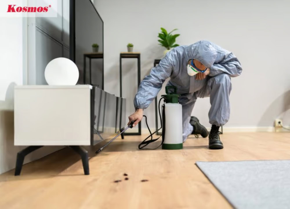 Cách xử lý sau khi thấy dấu hiệu sàn gỗ bị mối mọt là phun thuốc sinh học