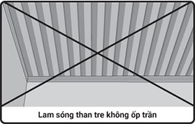 lam-song-than-tre-khong-op-tran