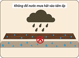 khong-de-nuoc-mua-hat-vao-tam-op