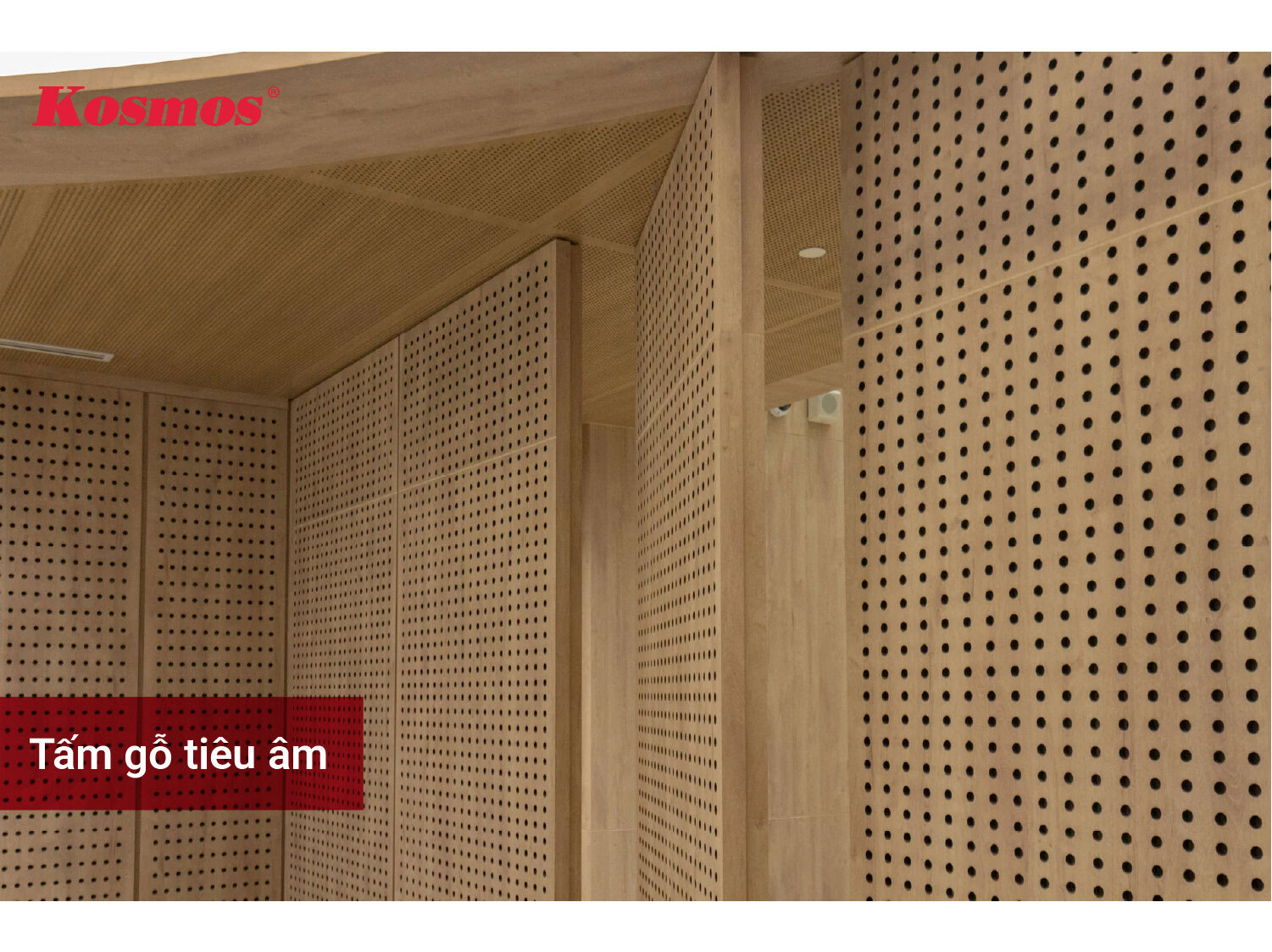 Tấm gỗ tiêu âm