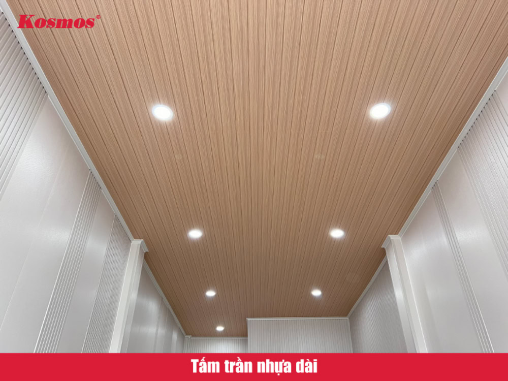 Tấm trần nhựa dài