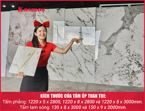 Kích thước tấm ốp than tre 2026: Các loại phổ biến và cách chọn phù hợp