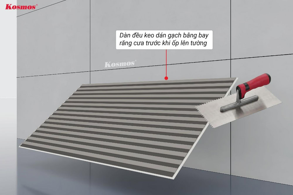 Dàn đều keo dán gạch bằng bay răng cưa trước khi ốp lên tường