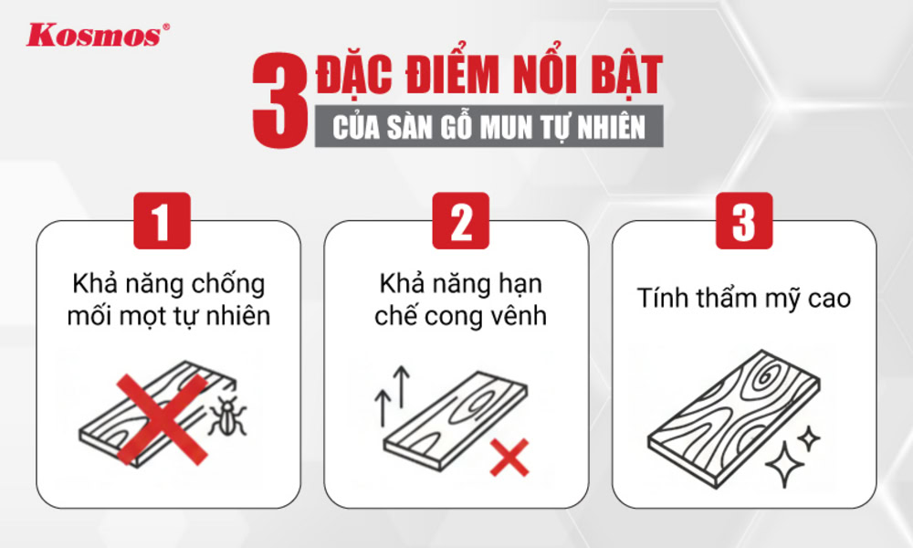 3 đặc điểm nổi bật của sàn gỗ Mun tự nhiên
