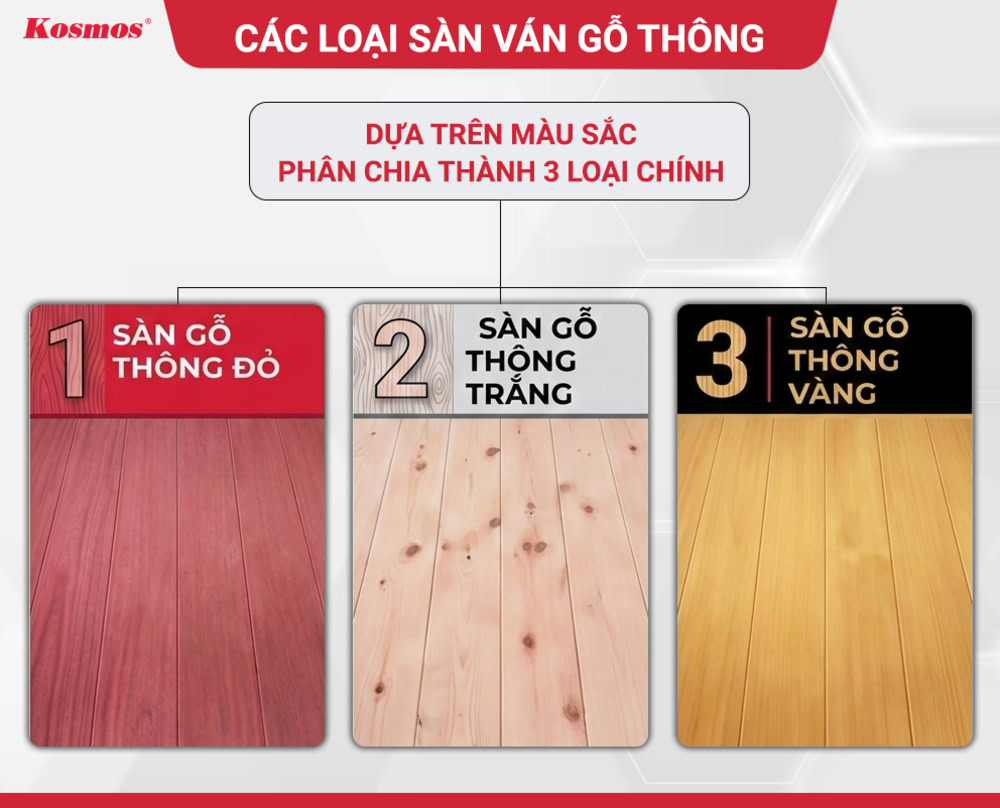 3 loại sàn gỗ Thông phổ biến