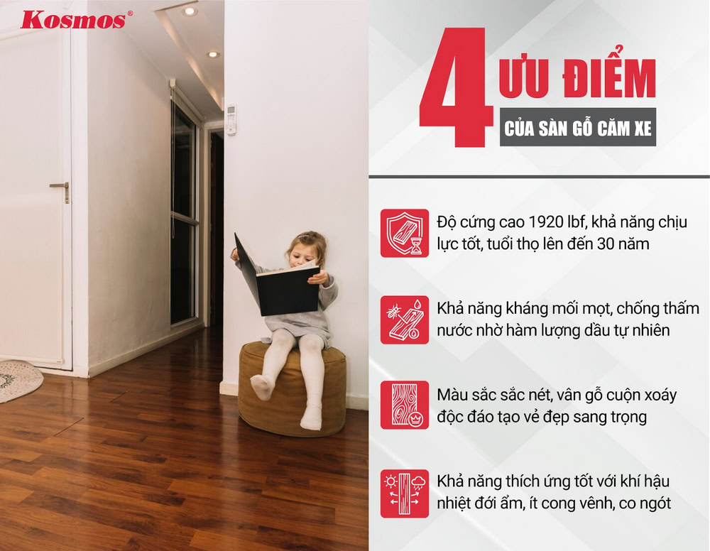 4 ưu điểm của sàn gỗ Căm Xe