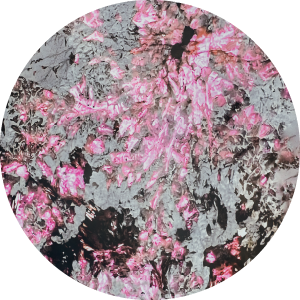 icon-pandora-25042026