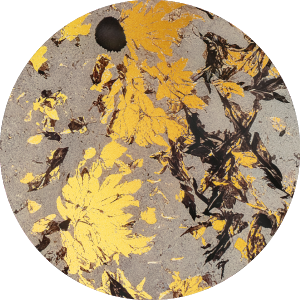 icon-van-da-25042026