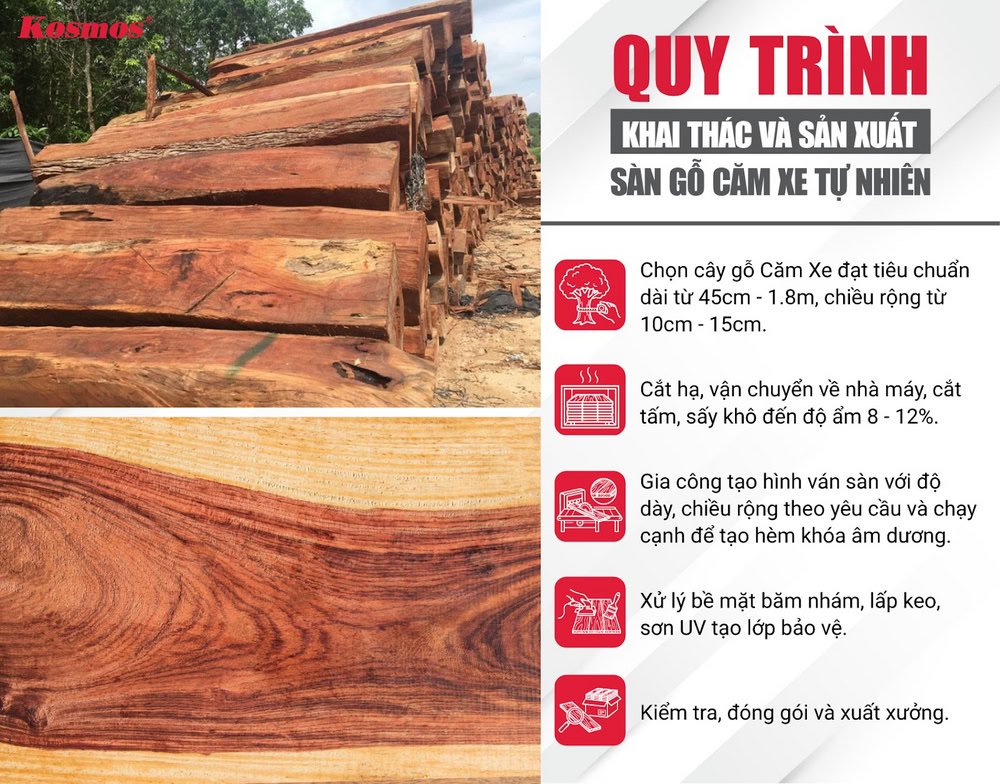 Quy trình khai thác và sản xuất sàn gỗ Căm Xe tự nhiên