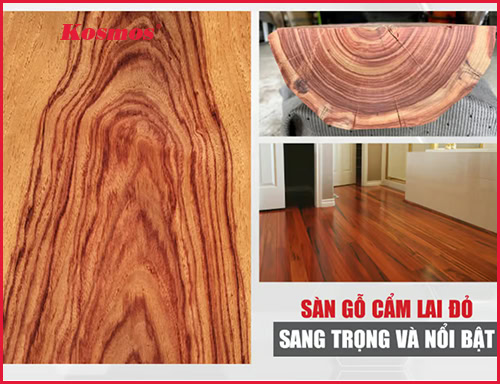 Sàn gỗ Cẩm Lai: Đặc điểm, phân loại, báo giá chi tiết 2026