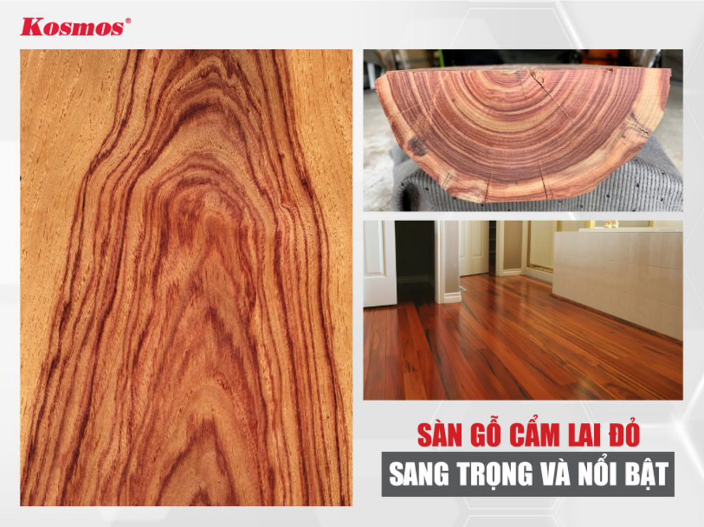Sàn gỗ Cẩm Lai đỏ sang trọng và nổi bật
