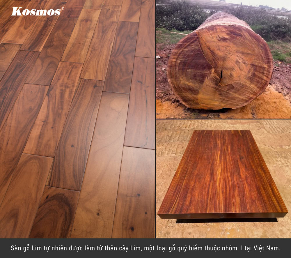 Sàn gỗ Lim tự nhiên được làm từ thân cây Lim quý hiếm
