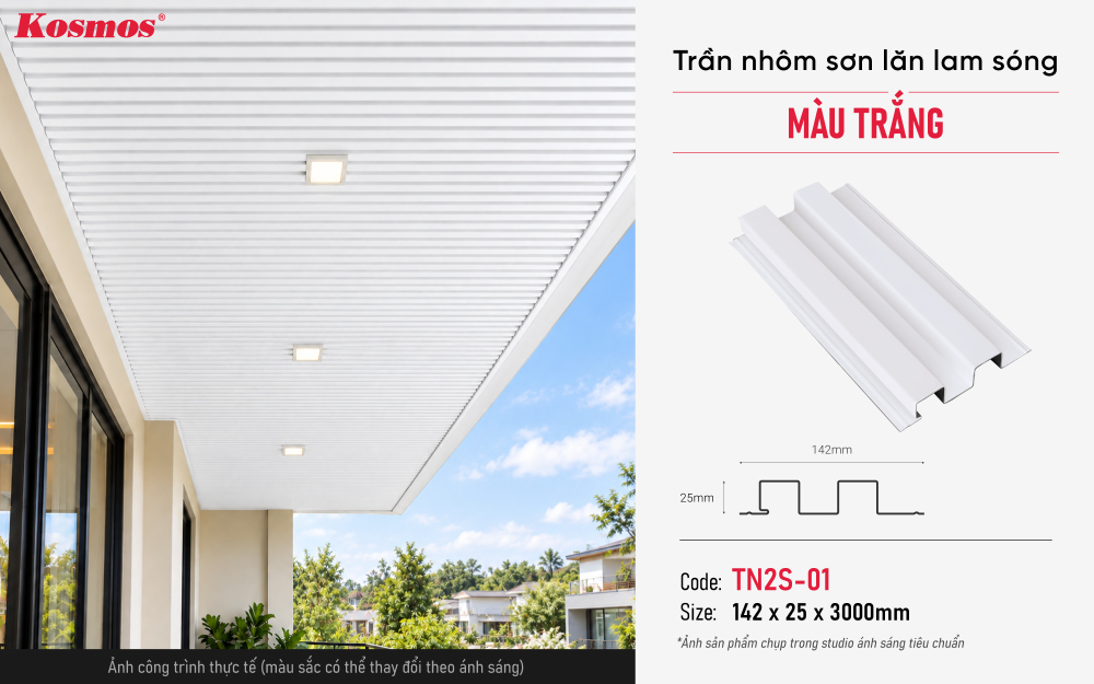 Thông số, mẫu mã và ứng dụng trần nhôm TN2S-01 Thông số, mẫu mã và ứng dụng trần nhôm TN2S-01