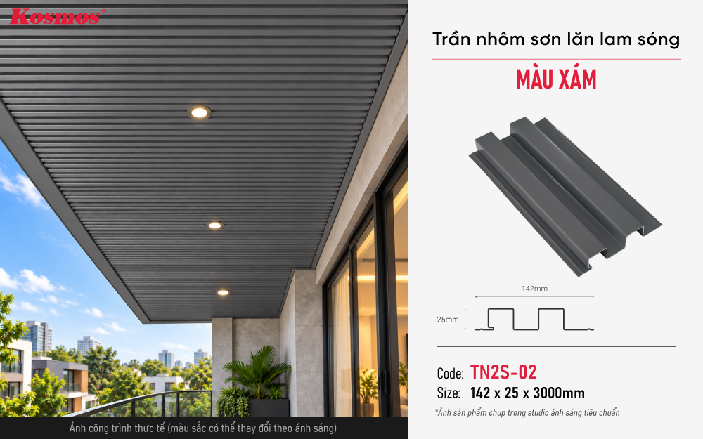 Thông số, mẫu mã và ứng dụng trần nhôm TN2S-02 Thông số, mẫu mã và ứng dụng trần nhôm TN2S-02