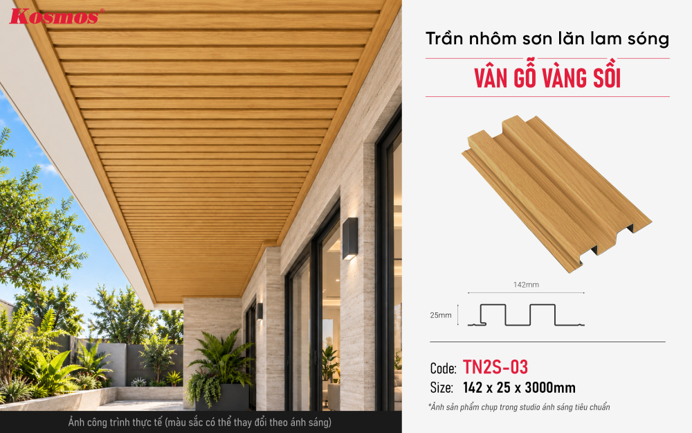 Thông số, mẫu mã và ứng dụng trần nhôm TN2S-03 Thông số, mẫu mã và ứng dụng trần nhôm TN2S-03