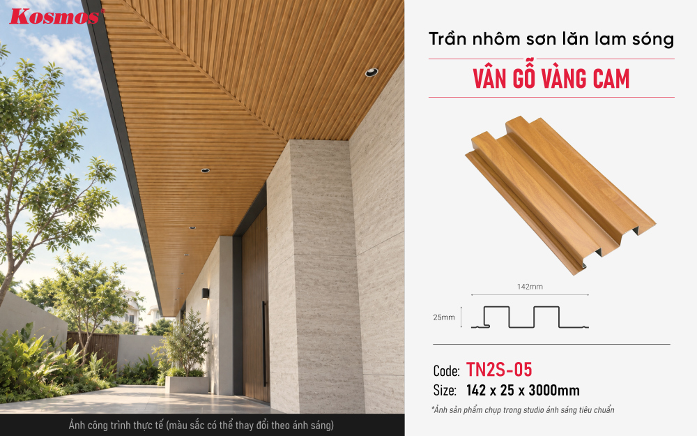 Thông số, mẫu mã và ứng dụng trần nhôm TN2S-05 Thông số, mẫu mã và ứng dụng trần nhôm TN2S-05