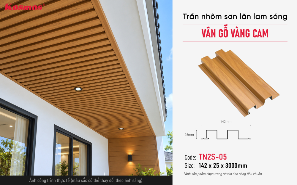 Thông số, mẫu mã và ứng dụng trần nhôm TN2S-05 Thông số, mẫu mã và ứng dụng trần nhôm TN2S-05